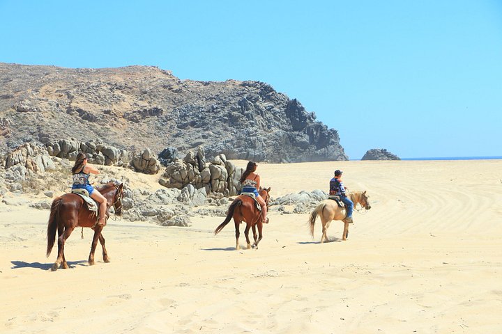 Paardrijtour op het strand in Cabo San Lucas met tequila proeverij, foto 28 | wizardtrip