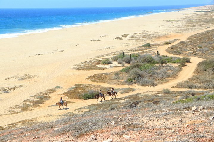 Paardrijtour op het strand in Cabo San Lucas met tequila proeverij, foto 29 | wizardtrip