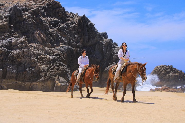Paardrijtour op het strand in Cabo San Lucas met tequila proeverij, foto 30 | wizardtrip