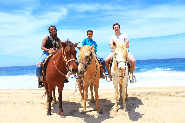 Paardrijtour op het strand in Cabo San Lucas met tequila proeverij, foto 31 | wizardtrip