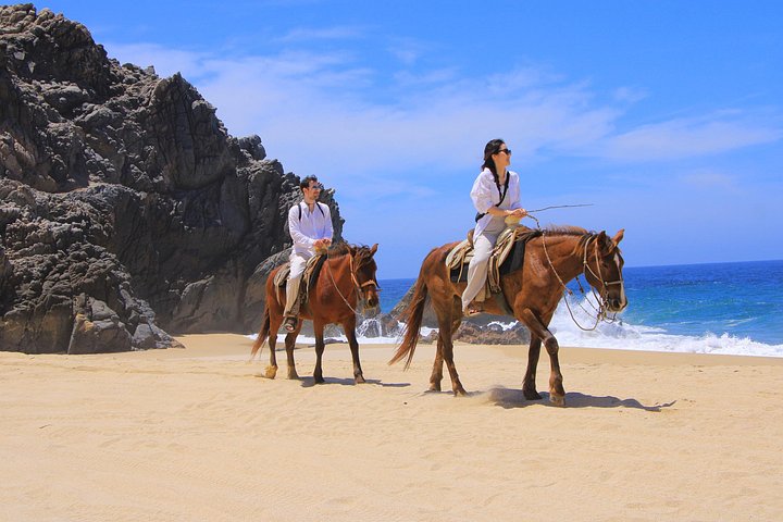 Paardrijtour op het strand in Cabo San Lucas met tequila proeverij, foto 32 | wizardtrip
