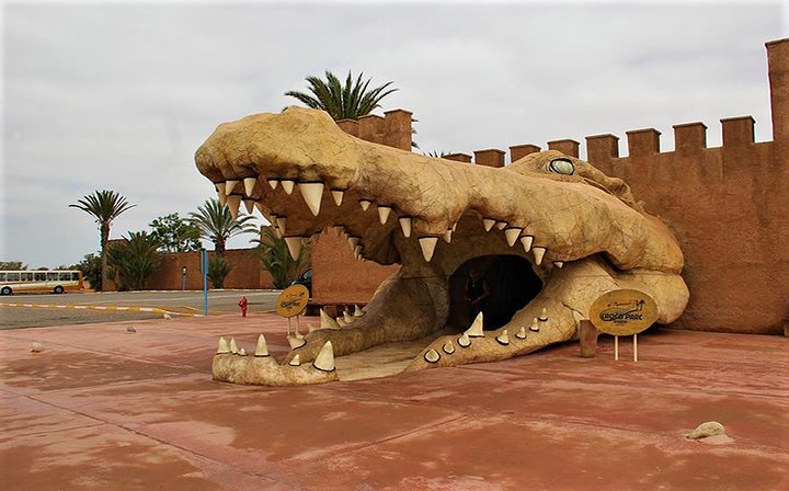 Crocoparc Agadir : Billet d'entrée + Transfert Aller-Retour Hôtel | wizardtrip