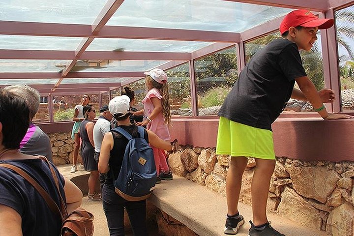 Utforsk Crocoparc Agadir, en unik park med krokodiller, eksotiske planter og familieattraksjoner, foto 8 | wizardtrip