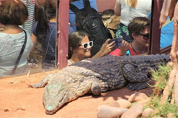 Utforsk Crocoparc Agadir, en unik park med krokodiller, eksotiske planter og familieattraksjoner, foto 10 | wizardtrip