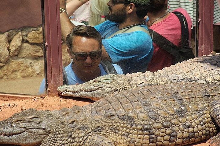 Utforsk Crocoparc Agadir, en unik park med krokodiller, eksotiske planter og familieattraksjoner, foto 12 | wizardtrip