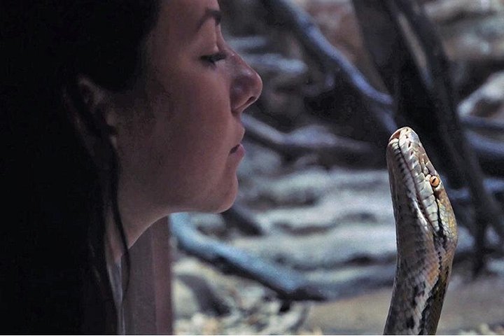 Utforsk Crocoparc Agadir, en unik park med krokodiller, eksotiske planter og familieattraksjoner, foto 15 | wizardtrip
