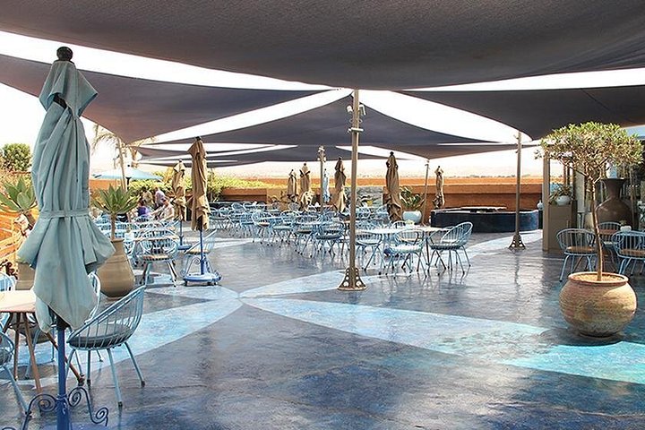 Utforsk Crocoparc Agadir, en unik park med krokodiller, eksotiske planter og familieattraksjoner, foto 20 | wizardtrip