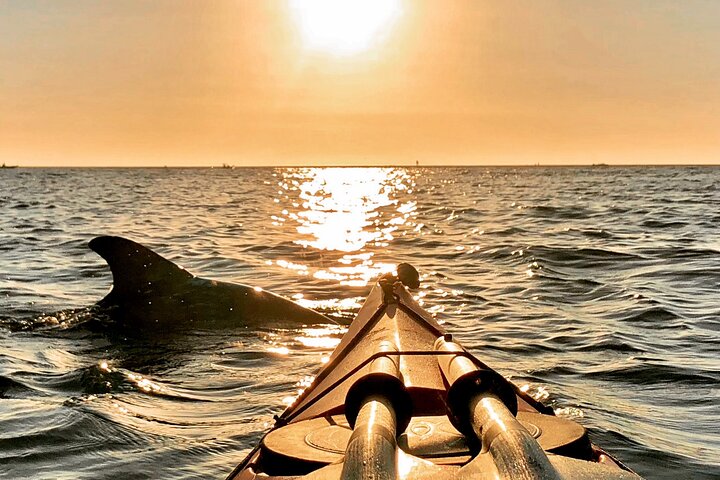 Kajaktour durch Mangroventunnel und auf dem Wasser der Shell Key Preserve, Foto 9 | wizardtrip