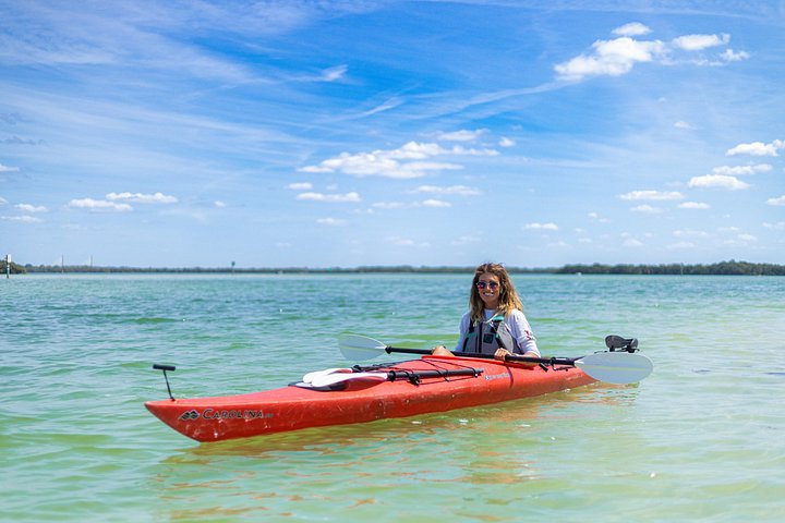 Kajaktour durch Mangroventunnel und auf dem Wasser der Shell Key Preserve, Foto 13 | wizardtrip