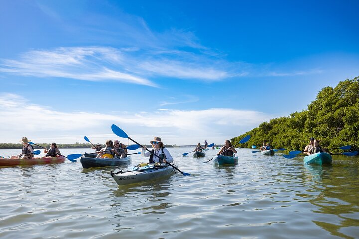 Kajaktour durch Mangroventunnel und auf dem Wasser der Shell Key Preserve, Foto 15 | wizardtrip