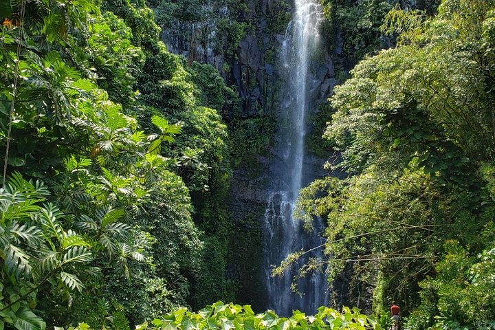 Road to Hana Tour met Ophaalservice & Lunch | wizardtrip