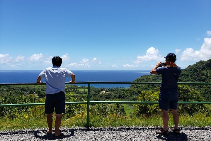 マウイ島の風光明媚なハナへの道ツアー。滝、黒砂海岸、緑豊かな熱帯雨林が特徴です、写真8 | wizardtrip