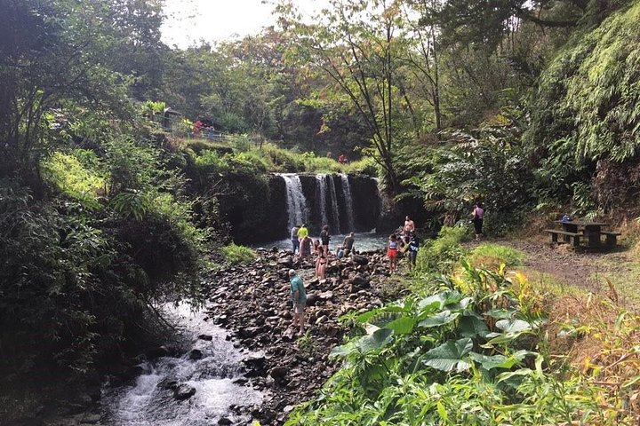 マウイ島の風光明媚なハナへの道ツアー。滝、黒砂海岸、緑豊かな熱帯雨林が特徴です、写真10 | wizardtrip