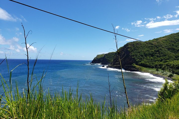 マウイ島の風光明媚なハナへの道ツアー。滝、黒砂海岸、緑豊かな熱帯雨林が特徴です、写真15 | wizardtrip