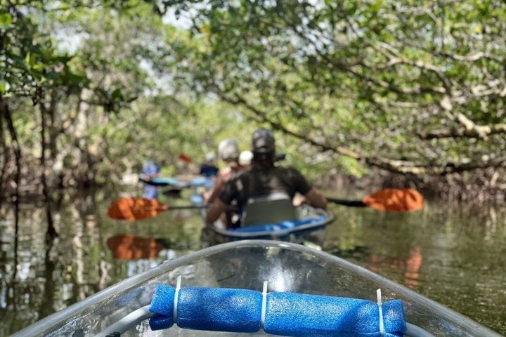 Klar Kajak Touren in Fort Pierce | wizardtrip
