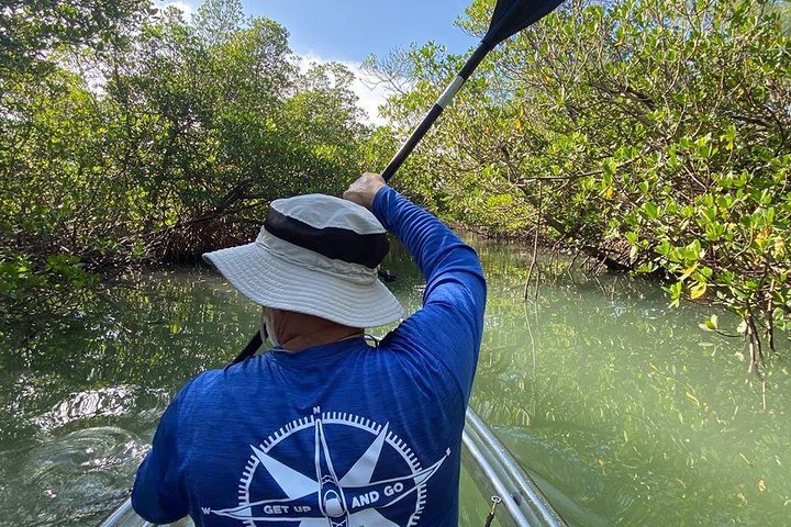 Doorzichtige kajaktocht door mangrove-tunnels in Fort Pierce, Florida, met spotten van zeeleven, foto 7 | wizardtrip
