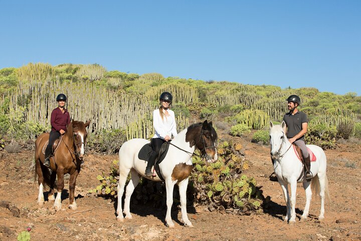 De Beste Paardrijervaring op Gran Canaria (2 uur) | wizardtrip