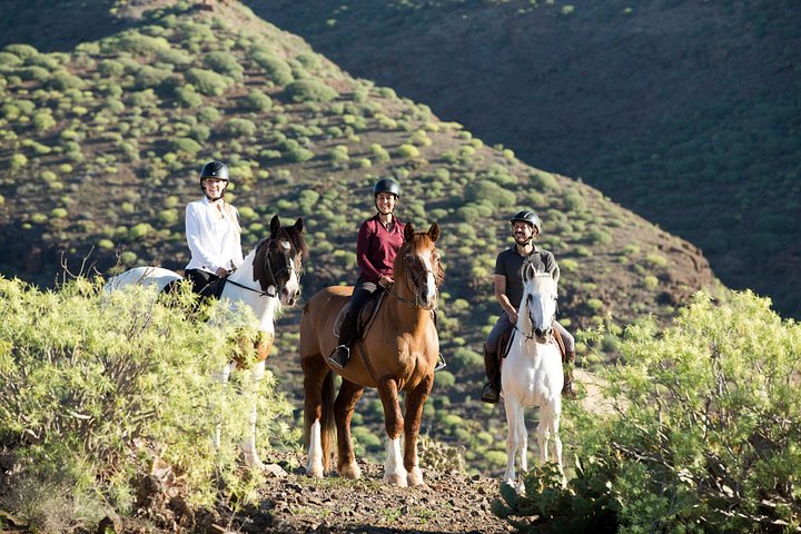 Excursion à cheval à travers des paysages volcaniques et des vues côtières à Grande Canarie, photo 7 | wizardtrip