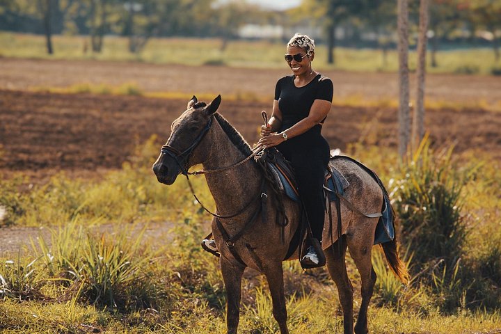 Horseback riding adventure on Jaco Beach, Costa Rica, through diverse landscapes and along the coast, photo 10 | wizardtrip