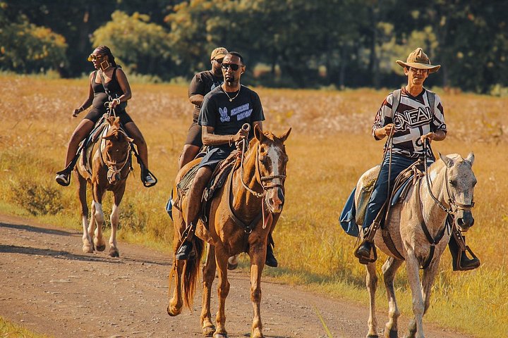 Horseback riding adventure on Jaco Beach, Costa Rica, through diverse landscapes and along the coast, photo 16 | wizardtrip