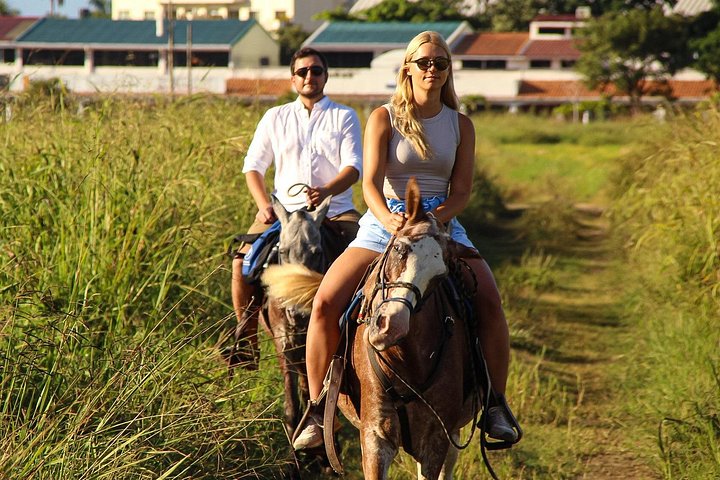 Horseback riding adventure on Jaco Beach, Costa Rica, through diverse landscapes and along the coast, photo 22 | wizardtrip