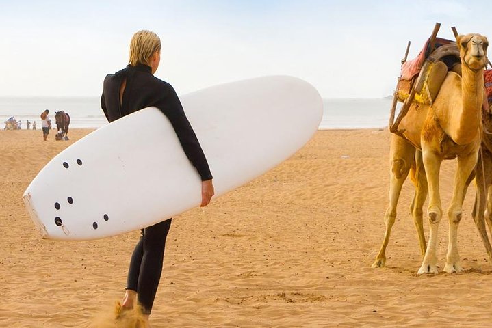 Tagesausflug nach Essaouira von Marrakesch, mit Strand, Medina und Küstenblick, Foto 6 | wizardtrip