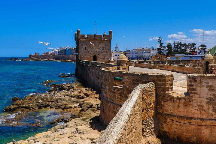 Tagesausflug nach Essaouira von Marrakesch, mit Strand, Medina und Küstenblick, Foto 9 | wizardtrip