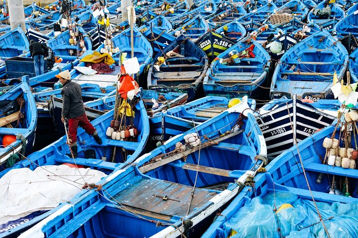 Tagesausflug nach Essaouira von Marrakesch, mit Strand, Medina und Küstenblick, Foto 14 | wizardtrip