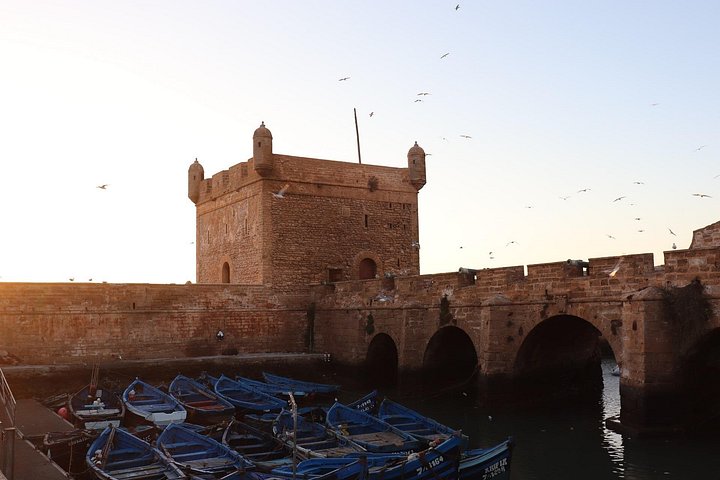Tagesausflug nach Essaouira von Marrakesch, mit Strand, Medina und Küstenblick, Foto 16 | wizardtrip