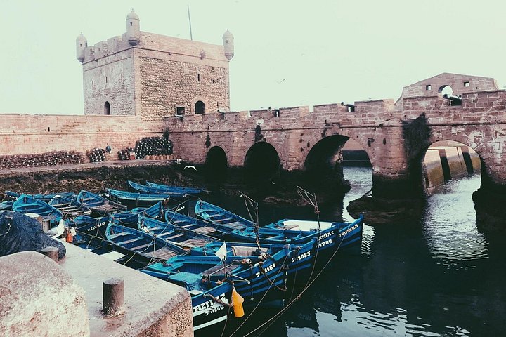 Tagesausflug nach Essaouira von Marrakesch, mit Strand, Medina und Küstenblick, Foto 18 | wizardtrip