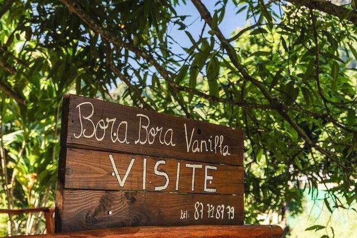 ボラボラ島でのポリネシアBBQランチ付き終日ATV＆ジェットスキーアドベンチャー、写真20 | wizardtrip