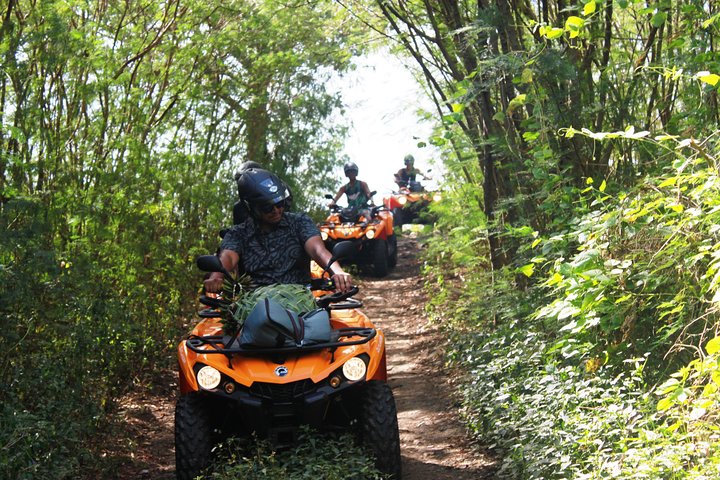 Aventura de quad em Bora Bora com vistas deslumbrantes da lagoa e visita à plantação de baunilha, foto 16 | wizardtrip