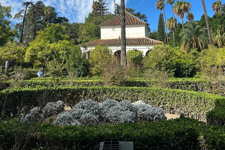 Guided tour of the Alcazar of Seville, showcasing its stunning architecture and gardens, photo 12 | wizardtrip