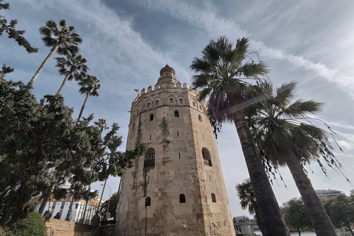 A guided walking tour of Seville's historic landmarks, including the Cathedral and Plaza de España, photo 7 | wizardtrip