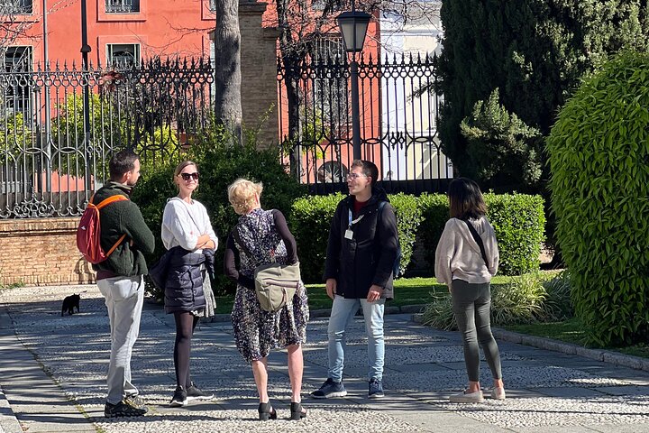 A guided walking tour of Seville's historic landmarks, including the Cathedral and Plaza de España, photo 13 | wizardtrip