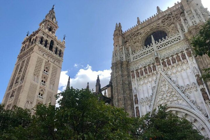 A guided walking tour of Seville's historic landmarks, including the Cathedral and Plaza de España, photo 14 | wizardtrip