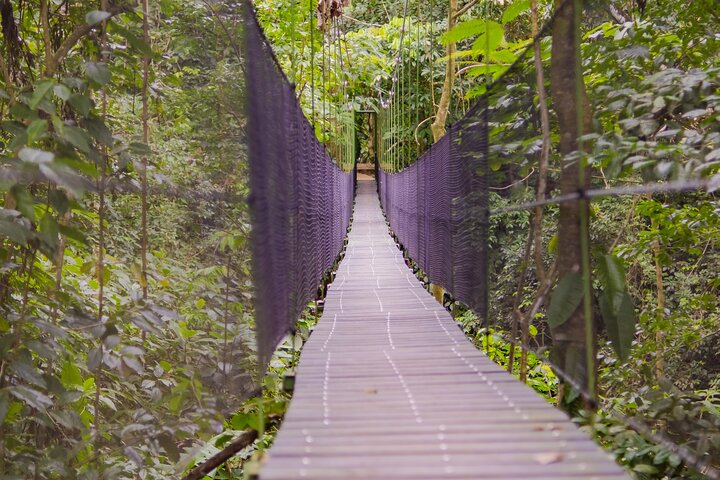 Guidet dovendyr-kigge-tur i La Fortuna, Costa Rica, observerer dyreliv i et naturreservat, foto 15 | wizardtrip