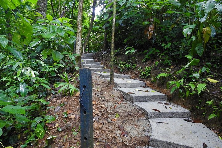Guidet dovendyr-kigge-tur i La Fortuna, Costa Rica, observerer dyreliv i et naturreservat, foto 21 | wizardtrip