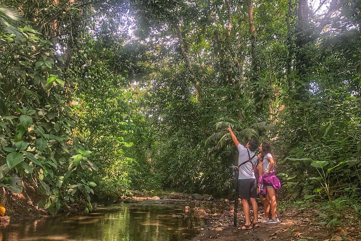 Guidet dovendyr-kigge-tur i La Fortuna, Costa Rica, observerer dyreliv i et naturreservat, foto 27 | wizardtrip