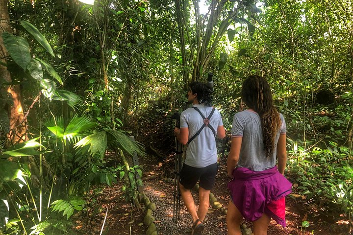 Guidet dovendyr-kigge-tur i La Fortuna, Costa Rica, observerer dyreliv i et naturreservat, foto 33 | wizardtrip