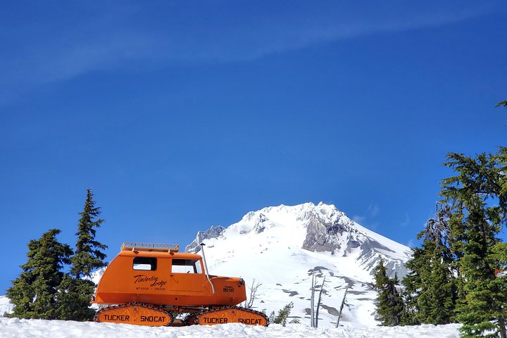 Passeio de dia inteiro de cascatas e Mt. Hood a partir de Portland, Oregon, foto 7 | wizardtrip
