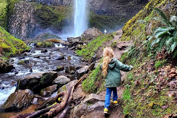 Passeio de dia inteiro de cascatas e Mt. Hood a partir de Portland, Oregon, foto 9 | wizardtrip