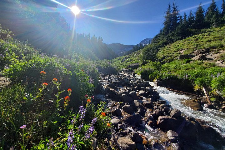 Passeio de dia inteiro de cascatas e Mt. Hood a partir de Portland, Oregon, foto 10 | wizardtrip