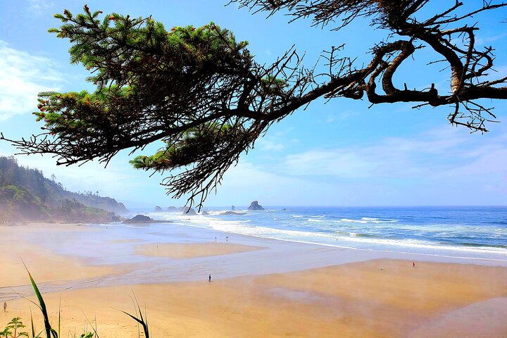 Tour guidato di un'intera giornata della costa dell'Oregon da Portland, con viste panoramiche e cittadine costiere, foto 6 | wizardtrip