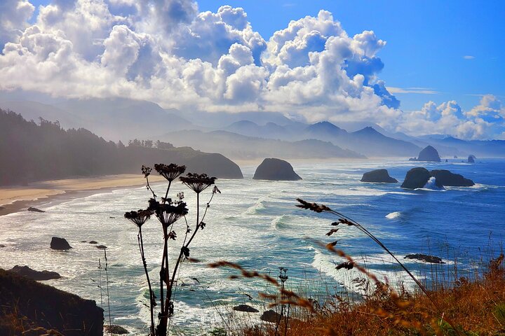 Tour guidato di un'intera giornata della costa dell'Oregon da Portland, con viste panoramiche e cittadine costiere, foto 8 | wizardtrip