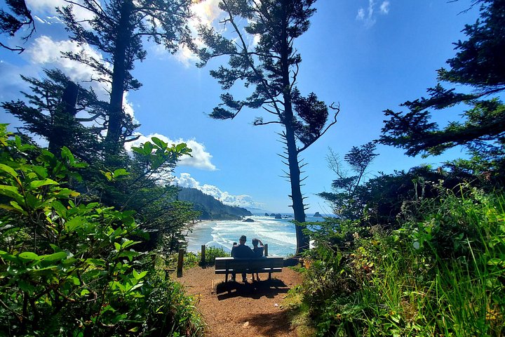 Tour guidato di un'intera giornata della costa dell'Oregon da Portland, con viste panoramiche e cittadine costiere, foto 9 | wizardtrip