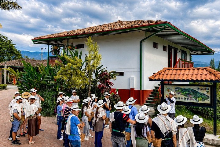 Pereira | wizardtrip