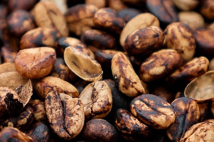 Erleben Sie eine kolumbianische Kaffee-Tour von der Bohne bis zur Tasse an einem Weltkulturerbe-Ort, Foto 30 | wizardtrip