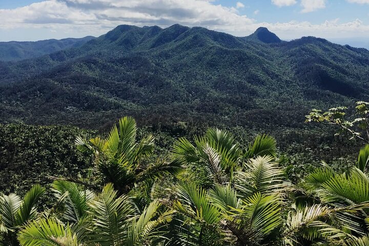 El Yunque Rainforest Waterslides en Luquillo Beach Tour vanuit San Juan | wizardtrip