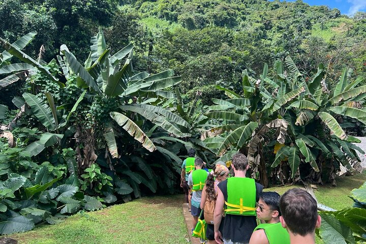 Turisti che si godono scivoli naturali e la spiaggia a Porto Rico, foto 17 | wizardtrip